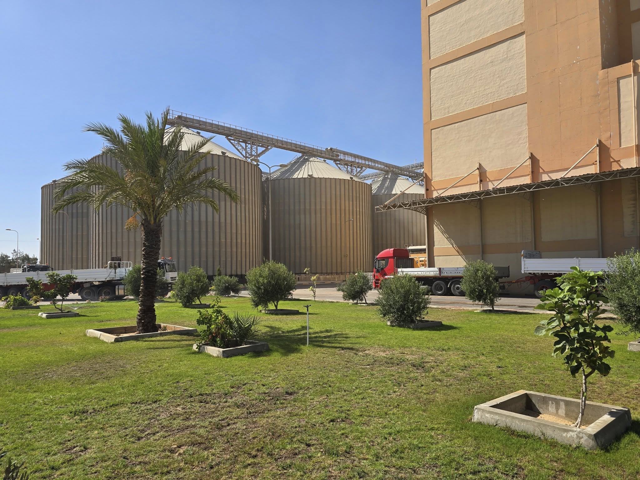 صورة عن الشركة